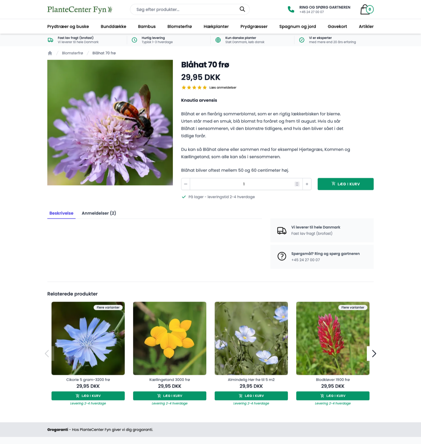 Produktside for Blåhat hos PlanteCenter Fyn med beskrivelse, anmeldelser og relaterede planter